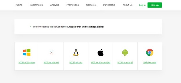 Amega MetaTrader 5 trading platform